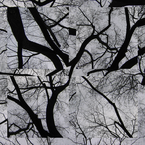 4ismbranch01